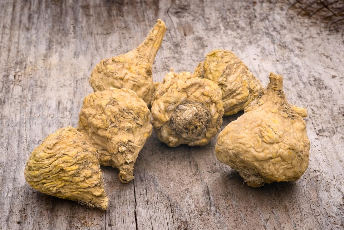 Benefits of Maca for Thyroid Disorders